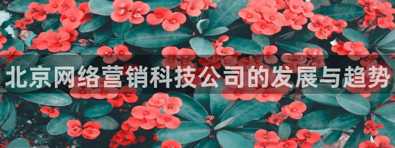 金年会赌博app平台可靠吗安全吗