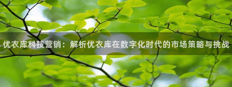 金年会赌博是诈骗吗