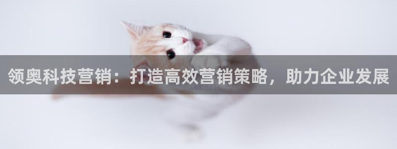 金年会是什么平台