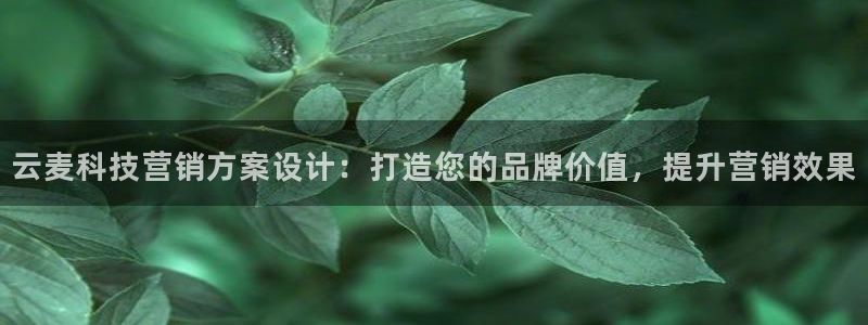 金年会黑平台不给出款