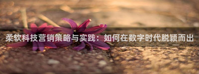 金年会体育苹果下载