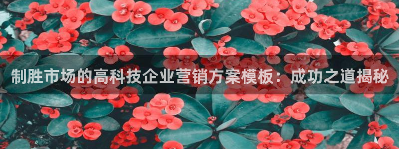 金年会体育黑吗