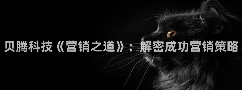 金年会网站多少