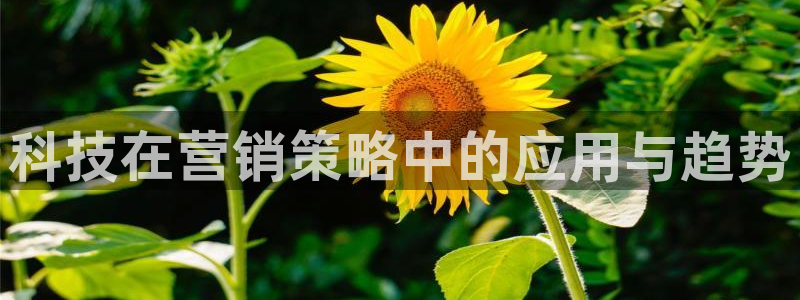 金年会官方进入2023