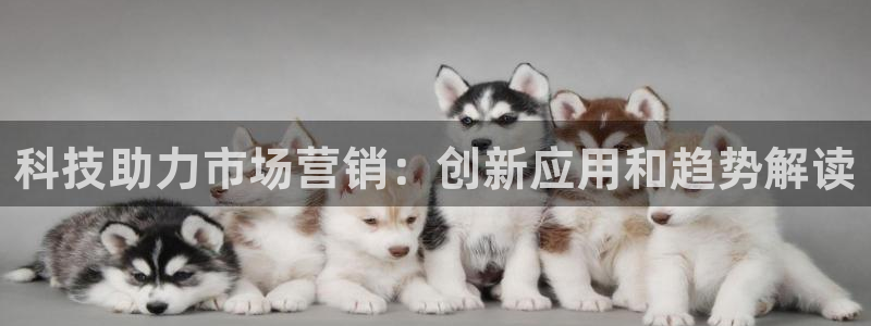 金年会体育如何