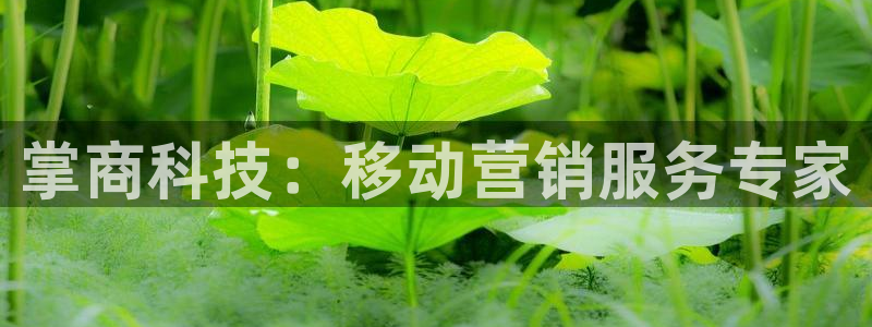 金年会体育app入口在哪