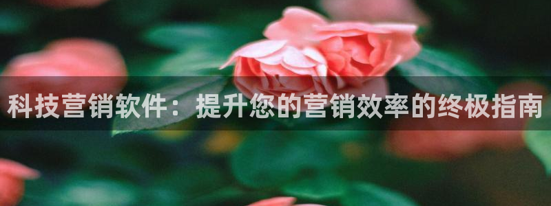 金年会体育手机app下载官网