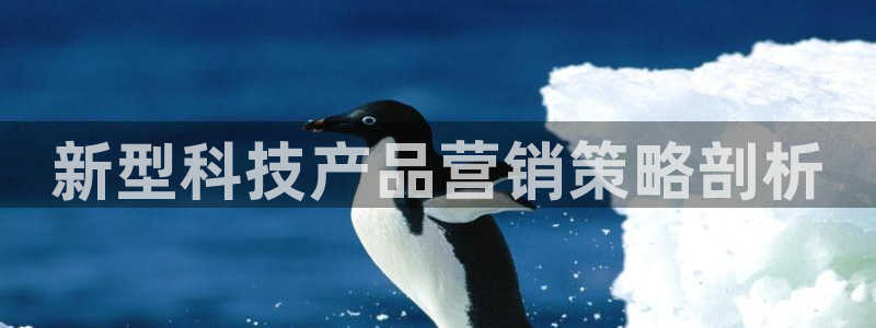 金年会体育那一年注册