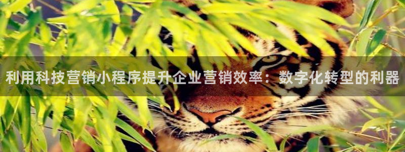金年会体育平台是真的吗知乎