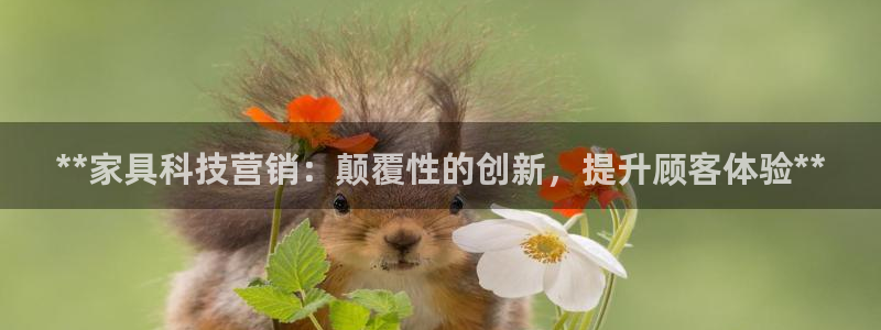 金年会体育黑钱吗