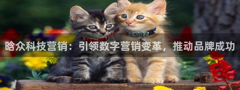 金年会电子官网