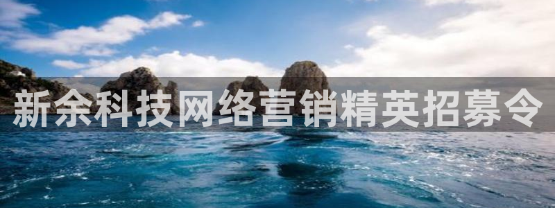 金年会体育网站
