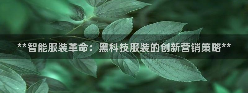 金年会体育论坛官网