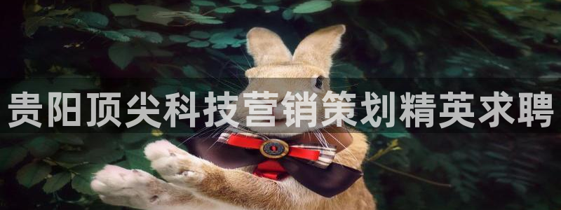 金年会体育官网登录入口