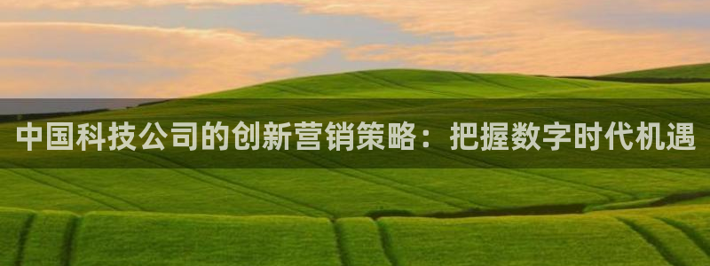 金年会app登录官网入口