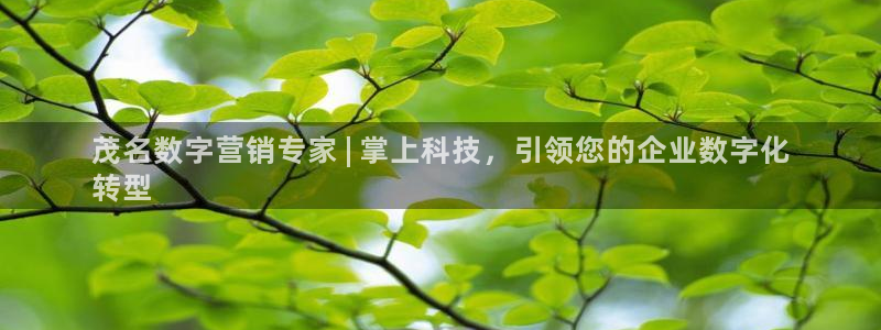 金年会金字招牌在线入口195