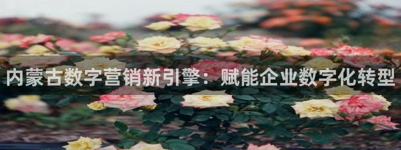 金年会平台真他妈坑人