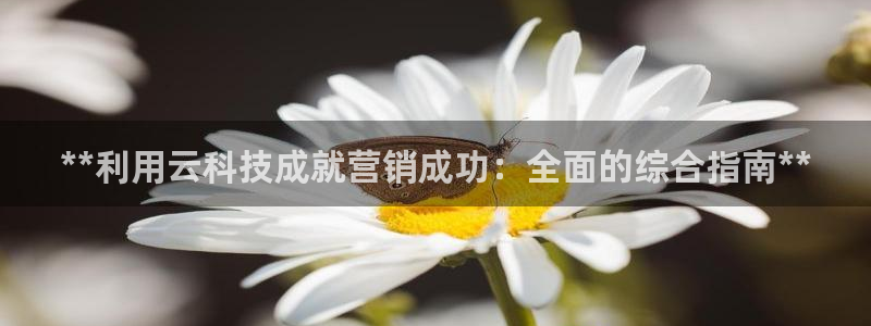 金年会官方网站入口登录手机版下载安装
