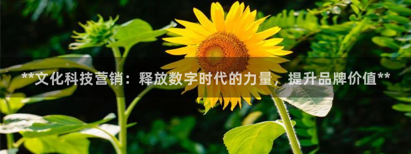 金年会体育app官网86