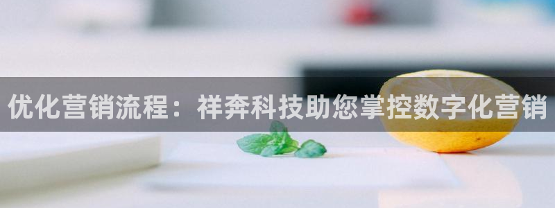 金年会体育电子官方网站