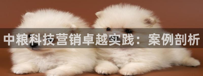 金年会体育官方入口