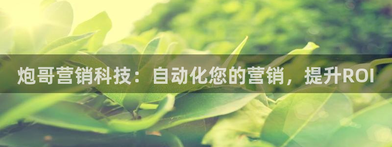 金年会体育app最新官网下载苹果
