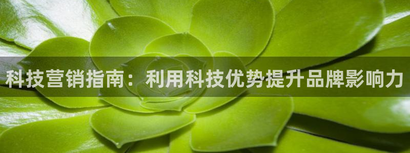 金年会平台是黑网还是白网