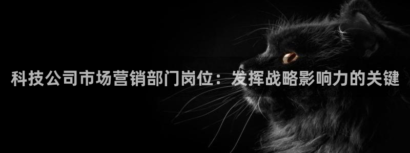 金年会电子游戏—2023全球木材与木制品大会