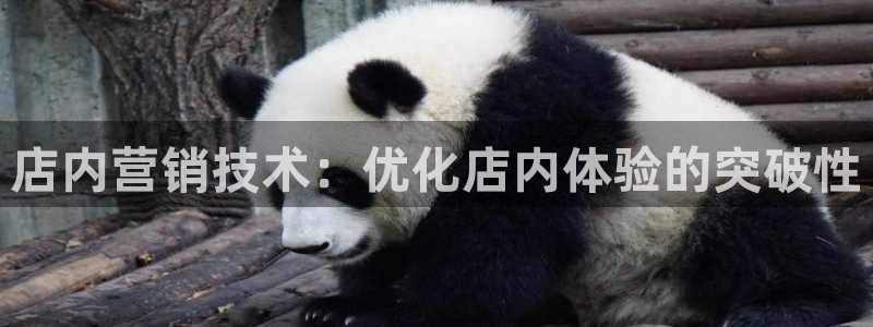 金年会体育官网