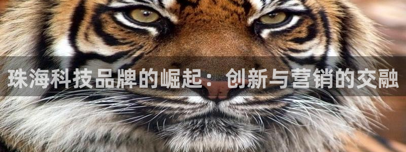 金年会网站拒绝出款怎么办理
