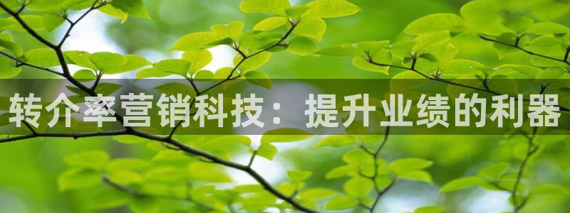 金年会网站入口官网
