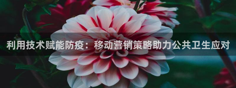 金年会体育