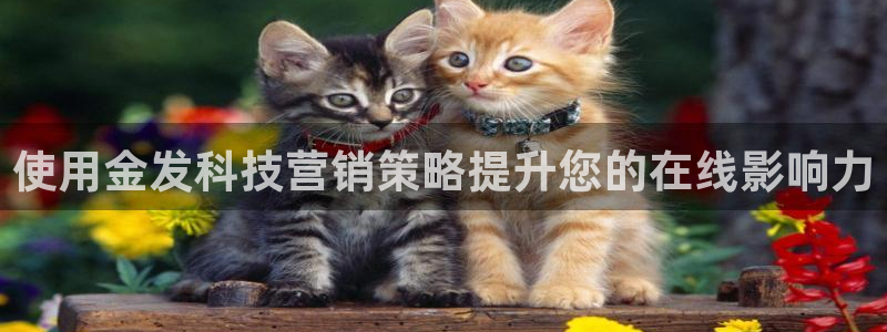 金年会网址导航下载