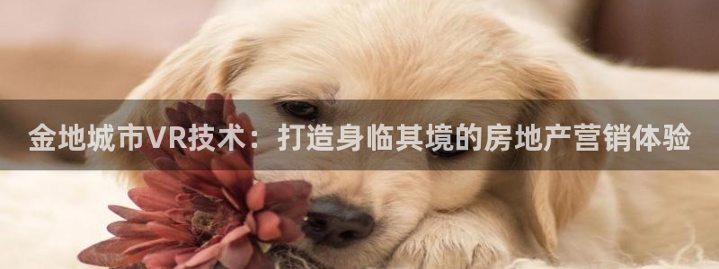 金年会体育是诈骗