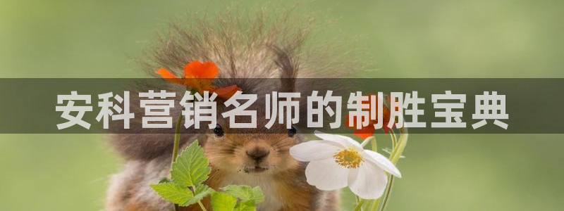 金年会官方app下载安卓
