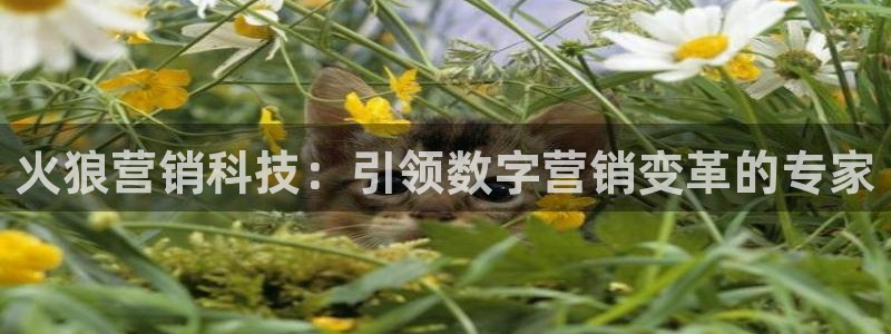 金年会网站事件后果