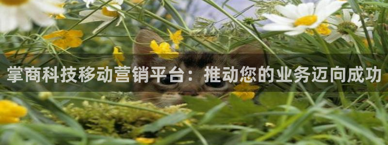 金年会金字招牌诚信至上