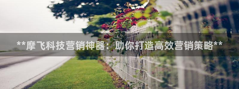 金年会体育app平台怎么样可靠吗