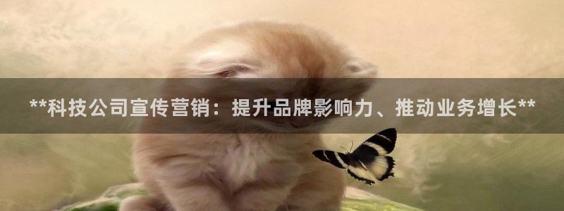 金年会信誉第一 百家号