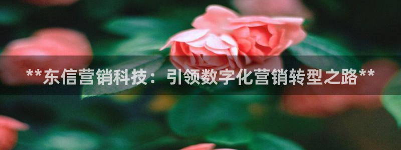 金年会金字招牌入口