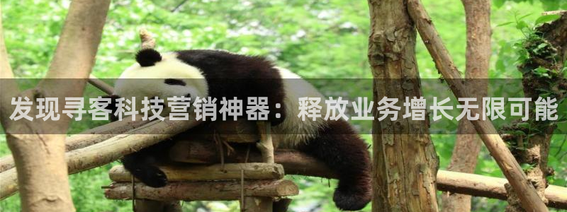 金年会体育在线
