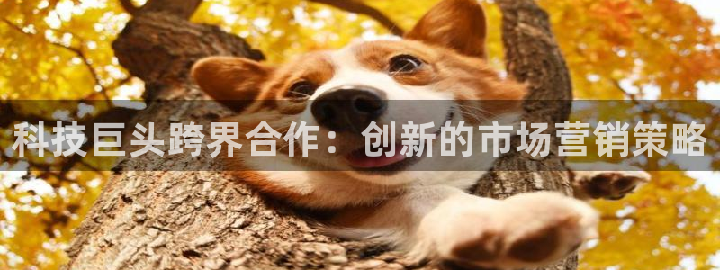 金年会体育app下载官网安卓版
