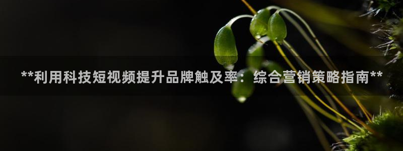 金年会入口