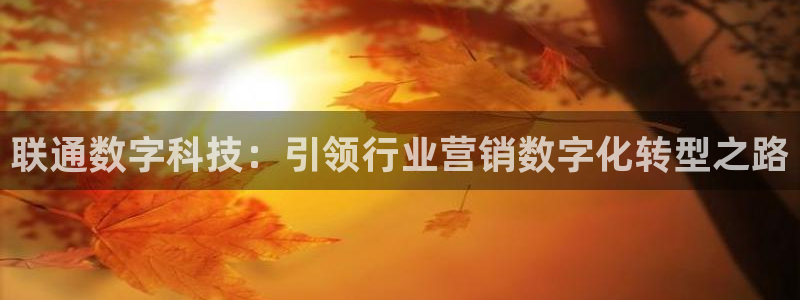 金年会体育app是干嘛的