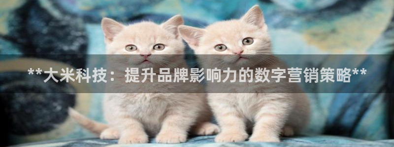 金年会网站洗黑钱