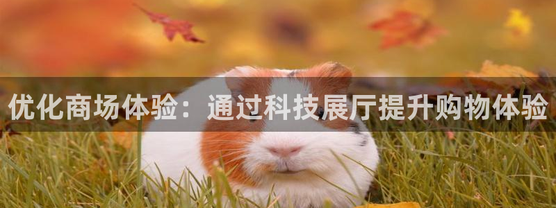 金年会电子官网下载