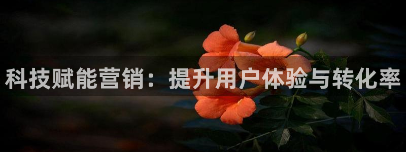 金年会电子游戏app官方