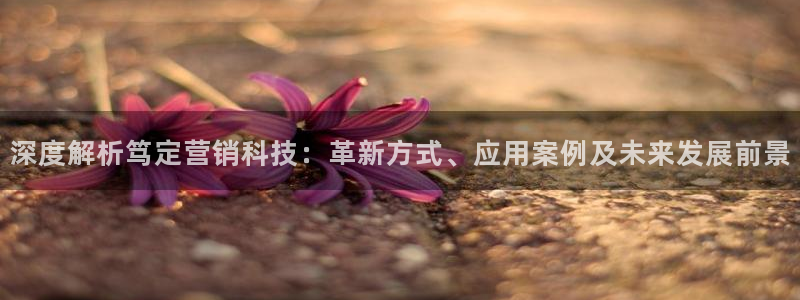 金年会赌博软件