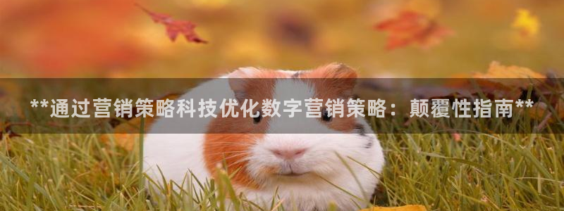 金年会体育平台新地址