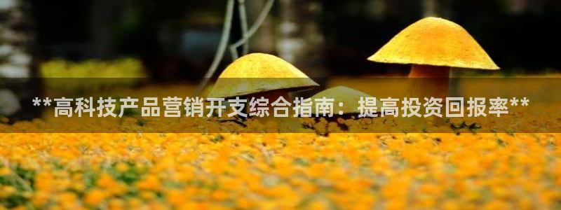 金年会官方在线入口网站2023